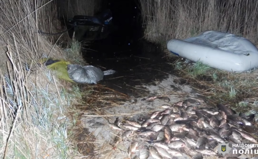 Операция «Нерест»: В Новомосковском районе полицейские разоблачили рыбного браконьера