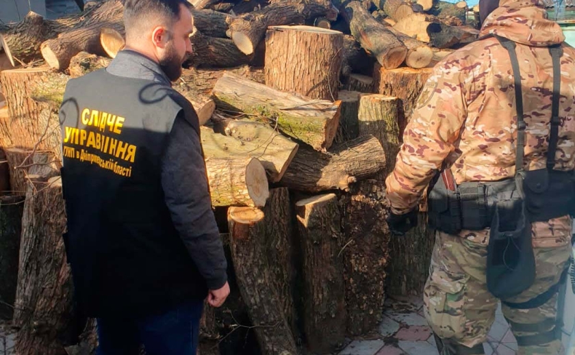 Незаконно зрубали ліс і завдали шкоди на 2 млн: на Дніпропетровщині затримали ОЗГ