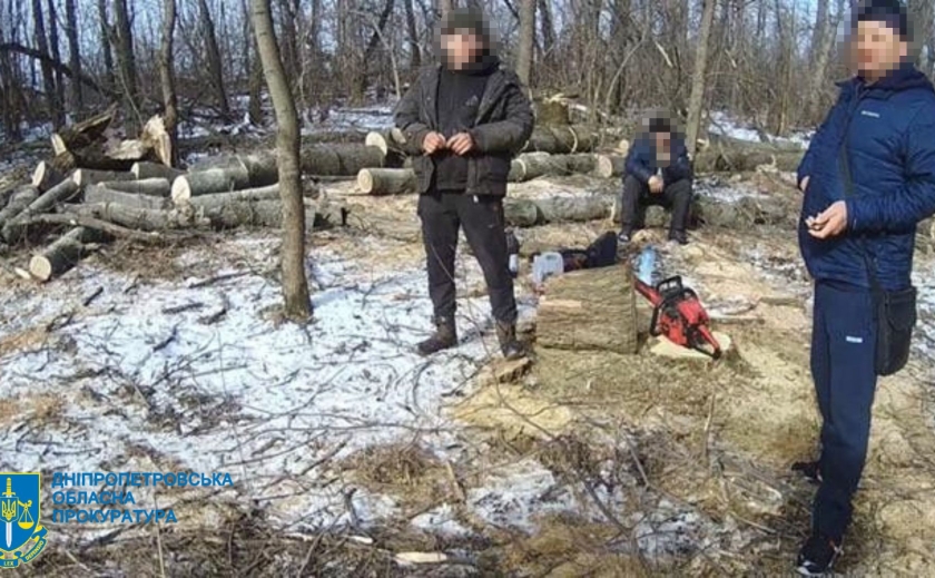 Незаконна порубка лісу на понад 2,5 млн грн: на Дніпропетровщині судитимуть групу осіб