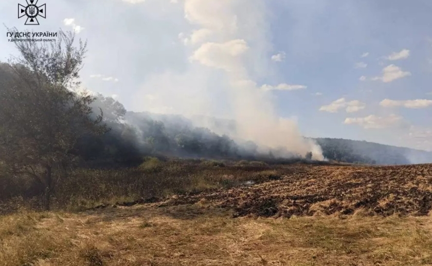 У Новомосковському районі вогнеборці загасили пожежу на території лісового господарства