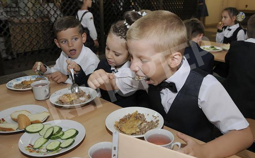 Новомосковских детей покормят вкусно, но - не всех