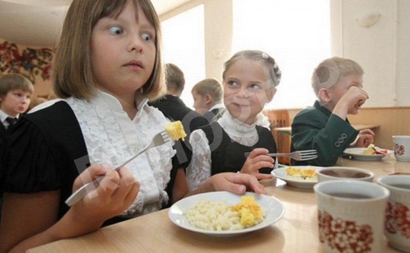 В Новомосковске на 20 процентов подорожало питание для льготников