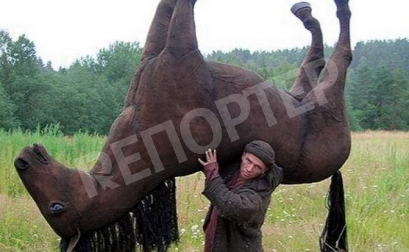 В Новомосковске любителя чужих «коней» будут возить в спецтранспорте